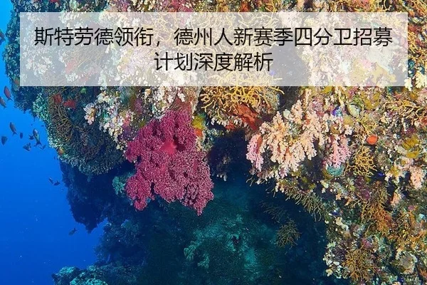 si-te-lao-de-ling-xian-de-zhou-ren-xin-sai-ji-si-fen-wei-zhao-mu-ji-hua-shen-du-jie-xi-2-229.jpg
